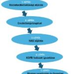utmutato-eu-auto-honositas (5)