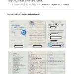 utmutato-eu-auto-honositas (56)