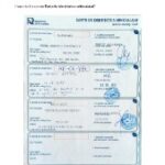utmutato-eu-auto-honositas (70)