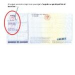 utmutato-eu-auto-honositas (94)